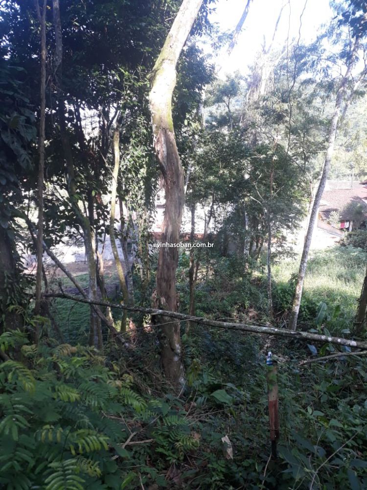 Terreno venda Cidade Jardim Caraguatatuba